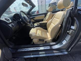Audi A4 Cabriolet 2.0 TDI Pro Line picture 3