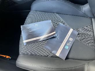 DS Automobiles DS 4 1.2 PureTech Trocadero AUTOMAAT picture 23