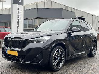  BMW iX1 xDrive30 67 kWh 2023/8