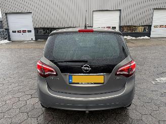 Opel Meriva 1.4 Turbo Design Edition picture 7