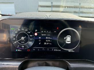 Kia Niro EV DynamicLine 64.8 kWh picture 20