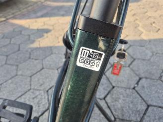 Stella  Tenway Ago T picture 8