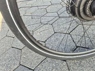 Stella  Tenway Ago T picture 11