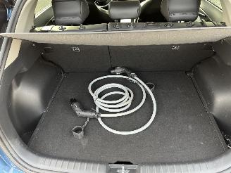 Kia e-Niro EV Edition 64.8 kWh picture 8