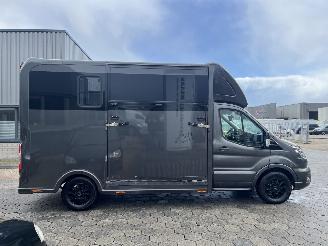 Ford Transit 2.0 2-Paards Paardenwagen AUTOMAAT picture 32