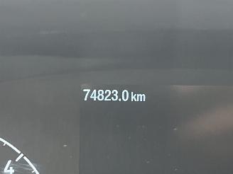 Ford Transit 2.0 2-Paards Paardenwagen AUTOMAAT picture 23