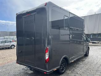 Ford Transit 2.0 2-Paards Paardenwagen AUTOMAAT picture 4
