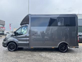 Ford Transit 2.0 2-Paards Paardenwagen AUTOMAAT picture 30