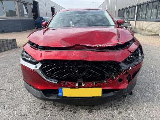 Mazda CX-30 2.0 e-SkyActiv-X M Hybrid Luxury picture 2