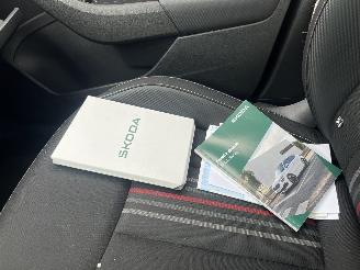 Skoda Kamiq 1.0 TSI Monte Carlo AUTOMAAT PANO picture 24