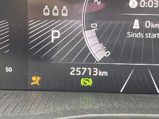 Skoda Kamiq 1.0 TSI Monte Carlo AUTOMAAT PANO picture 21