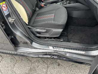 Skoda Kamiq 1.0 TSI Monte Carlo AUTOMAAT PANO picture 10