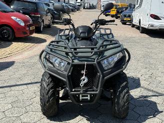 Kymco  QUAD MX4300 picture 2