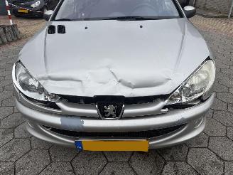Peugeot 206 SW 1.6-16V XS AUTOMAAT picture 10