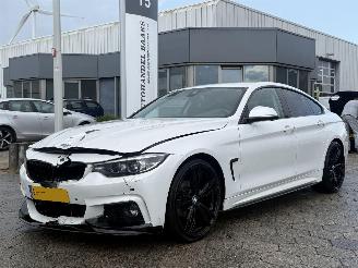 Avarii autoturisme BMW 4-serie Gran Coupé 420i High Executive Edition 2019/5