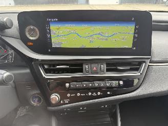 Lexus ES 300h Business Line picture 19