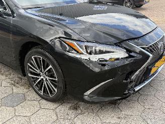 Lexus ES 300h Business Line picture 9