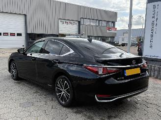 Lexus ES 300h Business Line picture 6