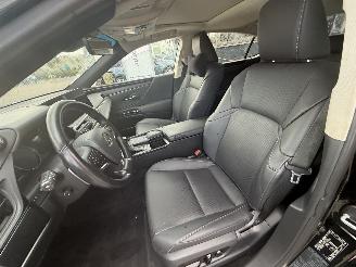 Lexus ES 300h Business Line picture 14
