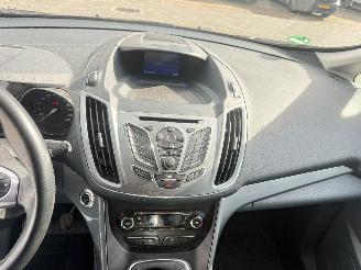 Ford C-Max 1.6 EcoBoost Titanium picture 20