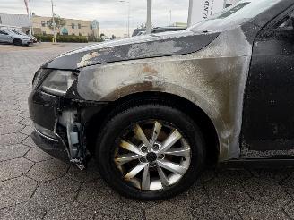 Skoda Octavia Combi 1.6 TDI Greentech Ambition picture 17