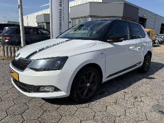 skadebil auto Skoda Fabia 1.0 TSI Clever 2018/11