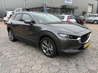 Mazda CX-30 2.0 e-SkyActiv-X M picture 3