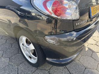 Peugeot 206 CC 1.6-16V picture 19