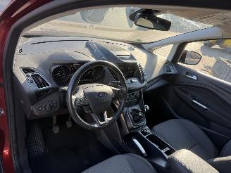 Ford C-Max 1.0 Titanium picture 15