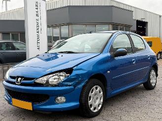 Auto incidentate Peugeot 206 1.4 Forever 2007/5