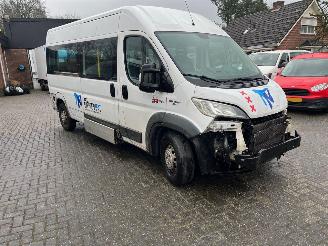 Fiat Ducato 2.3 MULTIJET MAXI PKW 9 PERSOONS+ROLSTOELLIFT picture 1