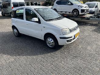 Fiat Panda 1.3 multiejet. edizone cool picture 2
