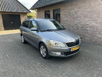 Avarii autoturisme Skoda Fabia 1.2 TSI FRESH AIRCO 2013/5