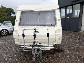 Abi  350DD picture 8