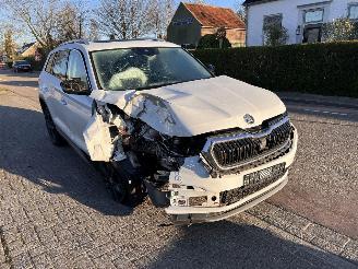 Auto incidentate Skoda Kodiaq 1.5 TSi Business Edition 7P 2022/4