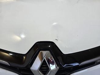 Renault Clio 1.5 dCi Nightenamp;Day picture 11