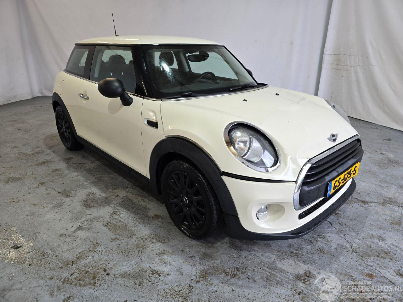 Mini One 1.2 Salt