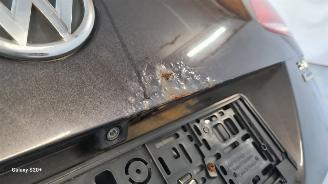 Volkswagen Passat 20  TDI picture 13