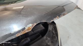 Volkswagen Passat 20  TDI picture 12