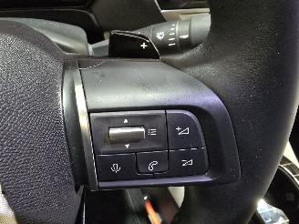 Citroën C5 X 1.6 Pl.Hyb. 225 Hyp picture 38