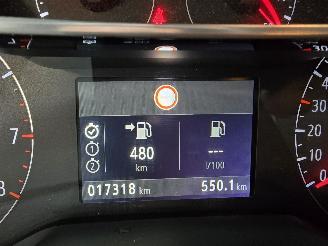 Opel Crossland X 1.2 Online Edition Black Roof picture 22