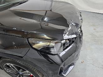 BMW iX eDrive20 67 kWh picture 9