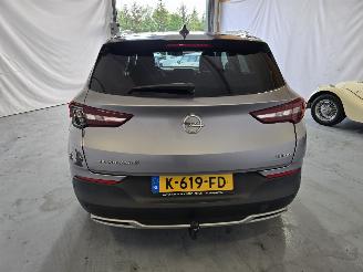 Opel Grandland X picture 6