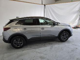 Opel Grandland X picture 8