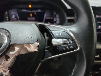 Skoda Kamiq 1.0 TSI Business Edition picture 31