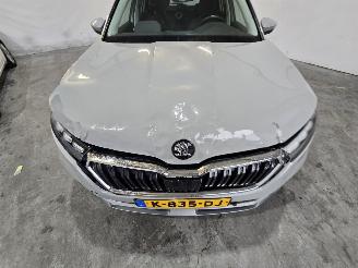 Skoda Kamiq 1.0 TSI Business Edition picture 9