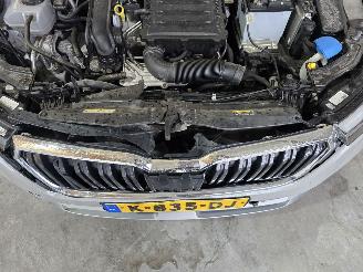 Skoda Kamiq 1.0 TSI Business Edition picture 12
