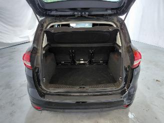 Ford C-Max 1.0 Titanium picture 13