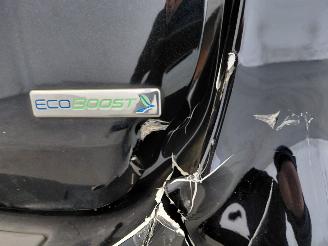 Ford C-Max 1.0 Titanium picture 19
