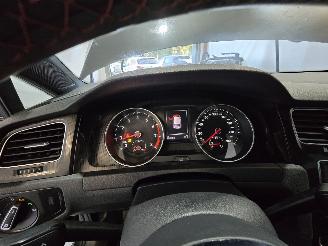 Volkswagen Golf 2.0 TSI GTI Performance picture 34